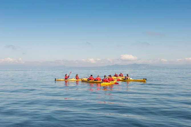 The Maori Carvings Half Day Kayak - Volcano views, bird life, and the shoreline pace