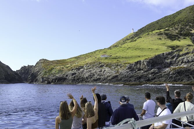 The Original Full day Bay of Islands Cruise with Dolphins - The Cream Trip route: how the day starts with stories and big water views