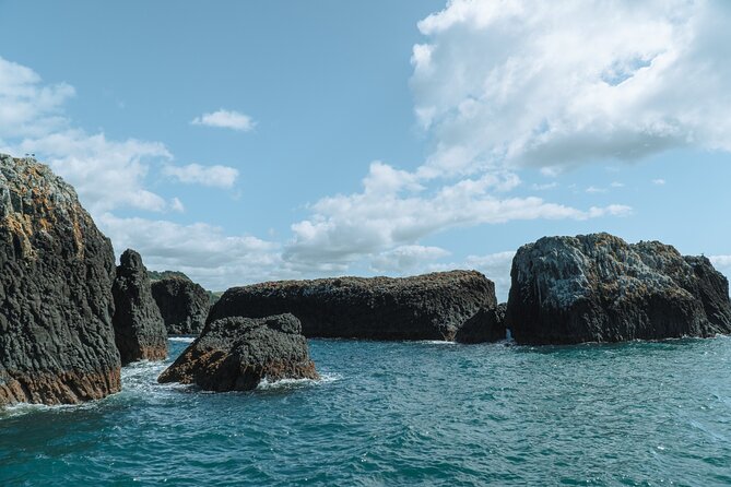 The Original Full day Bay of Islands Cruise with Dolphins - Otehei Bay on Urupukapuka Island: your 1.5 hour beach break
