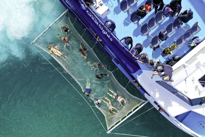 The Original Full day Bay of Islands Cruise with Dolphins - Dolphin searching: what the guarantee really means for you