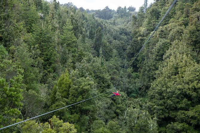 The Ultimate Canopy Zipline Experience Private Tour From Auckland - How the Auckland to Rotorua Day Really Works (6:30am start, about 12 hours)