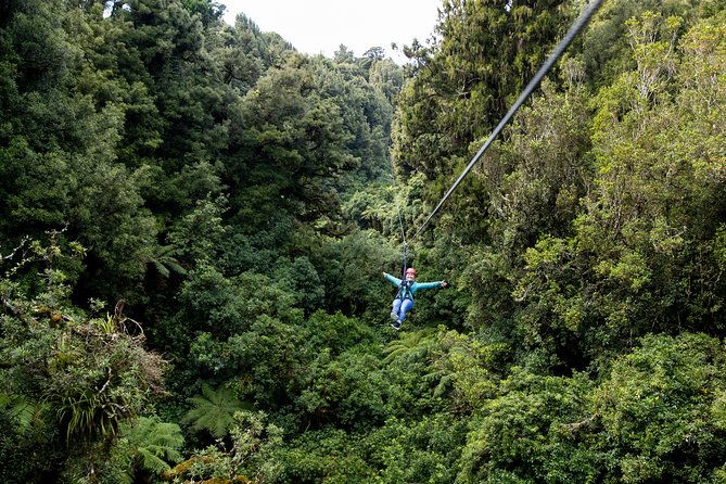 The Ultimate Canopy Zipline Experience Private Tour From Auckland - What’s included (and what you’ll pay for yourself)