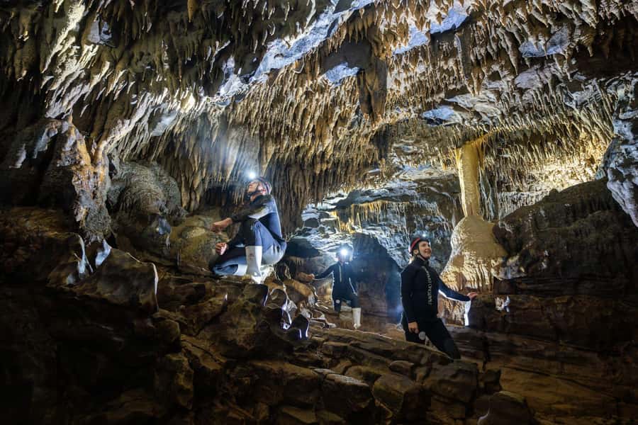 The Waitomo Experience : Okohua Glowworm Cave Tour - Key things that make this Okohua tour worth your time