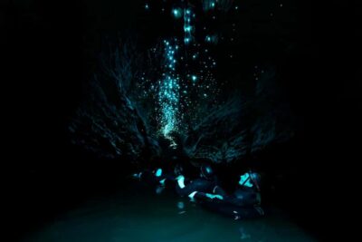 The Waitomo Experience : Okohua Glowworm Cave Tour
