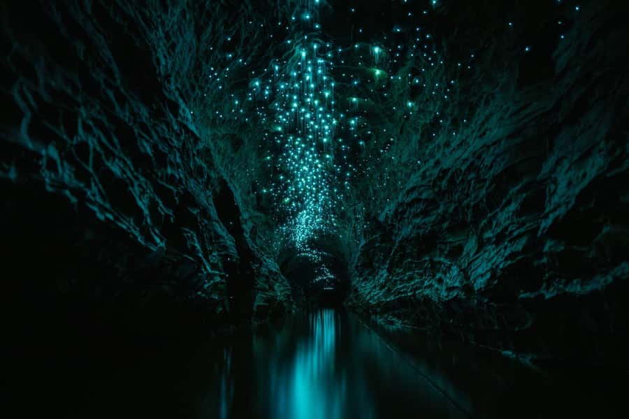 The Waitomo Experience : Okohua Glowworm Cave Tour - The farmland walk to the hidden entrance