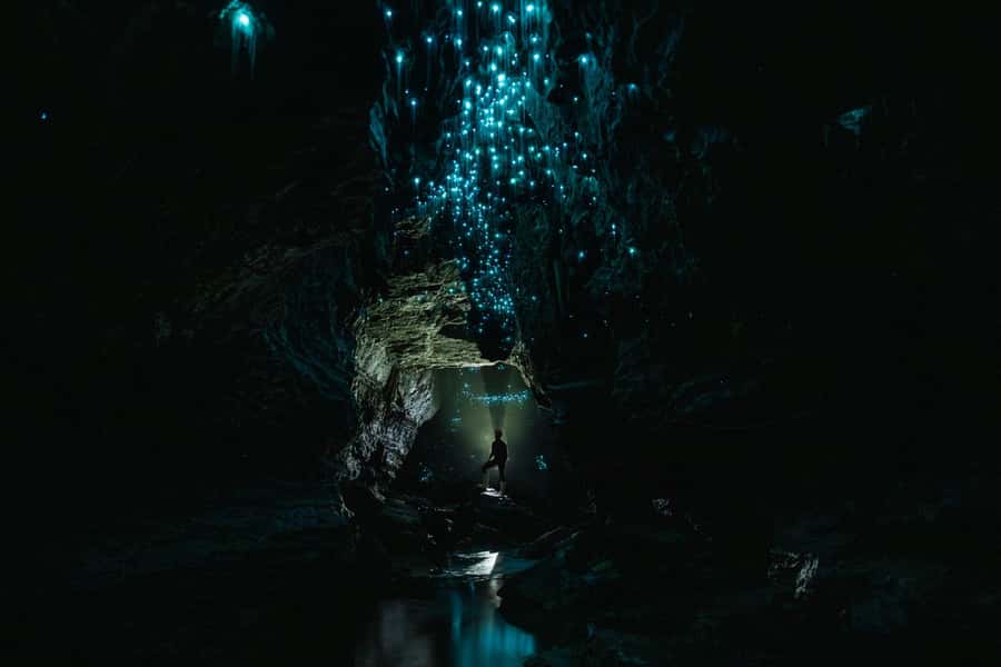 The Waitomo Experience : Okohua Glowworm Cave Tour - Underground river tubing: the black water rafting feeling