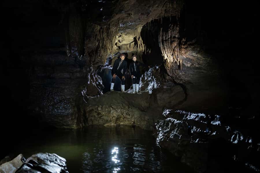 The Waitomo Experience : Okohua Glowworm Cave Tour - Glowworms up close: what to expect when you look up