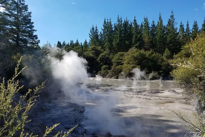 Thermal Path Tour - Te Manaroa Springs and Waikite Valley Hot Springs for the final soak