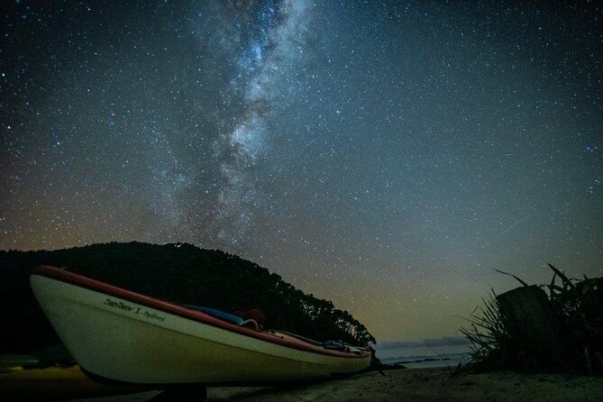 Three Day Classic Kayaking in New Zealand - Camping nights: the quiet, star-filled payoff