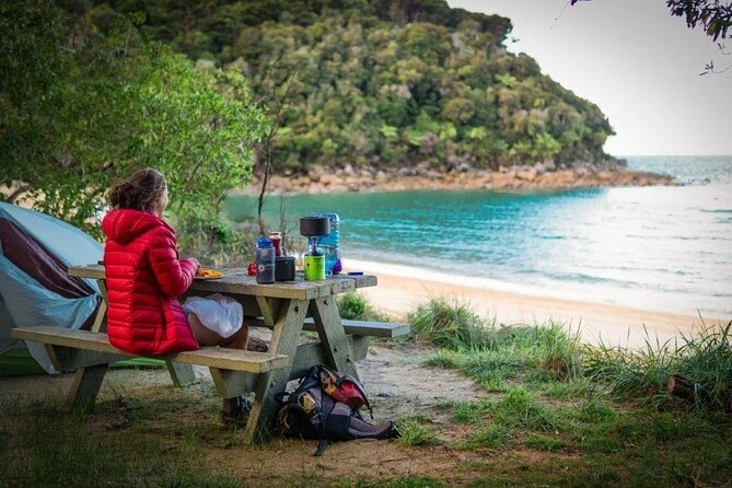 Three Day Classic Kayaking in New Zealand - Wildlife spotting: fur seals, blue penguins, and the marine reserve mindset