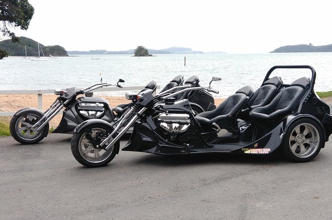 Thriller Tour - Bay of Islands, 30 mins (min 2) - Staff style: friendly, fast to put you at ease