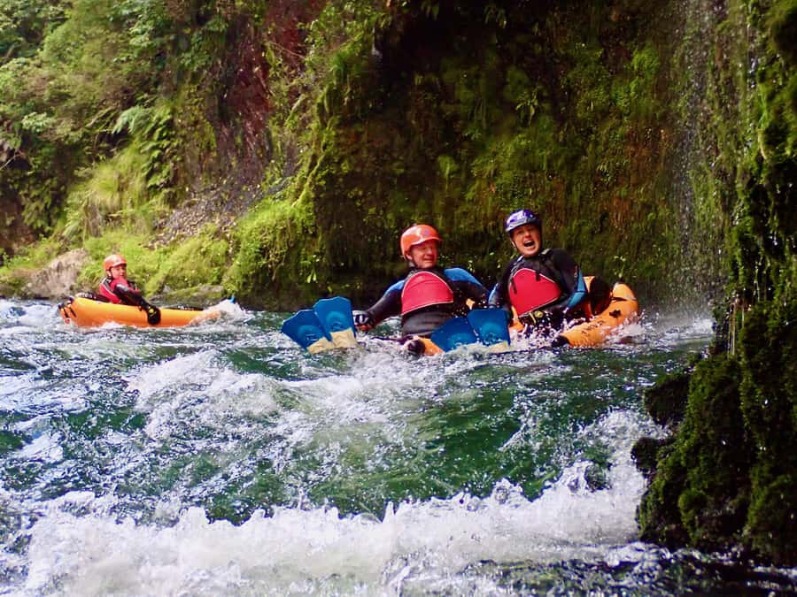 Thrilling Riverbug Adventure on the Rangitāiki River - Key Things to Know Before You Go on Rangitāiki Riverbugbing