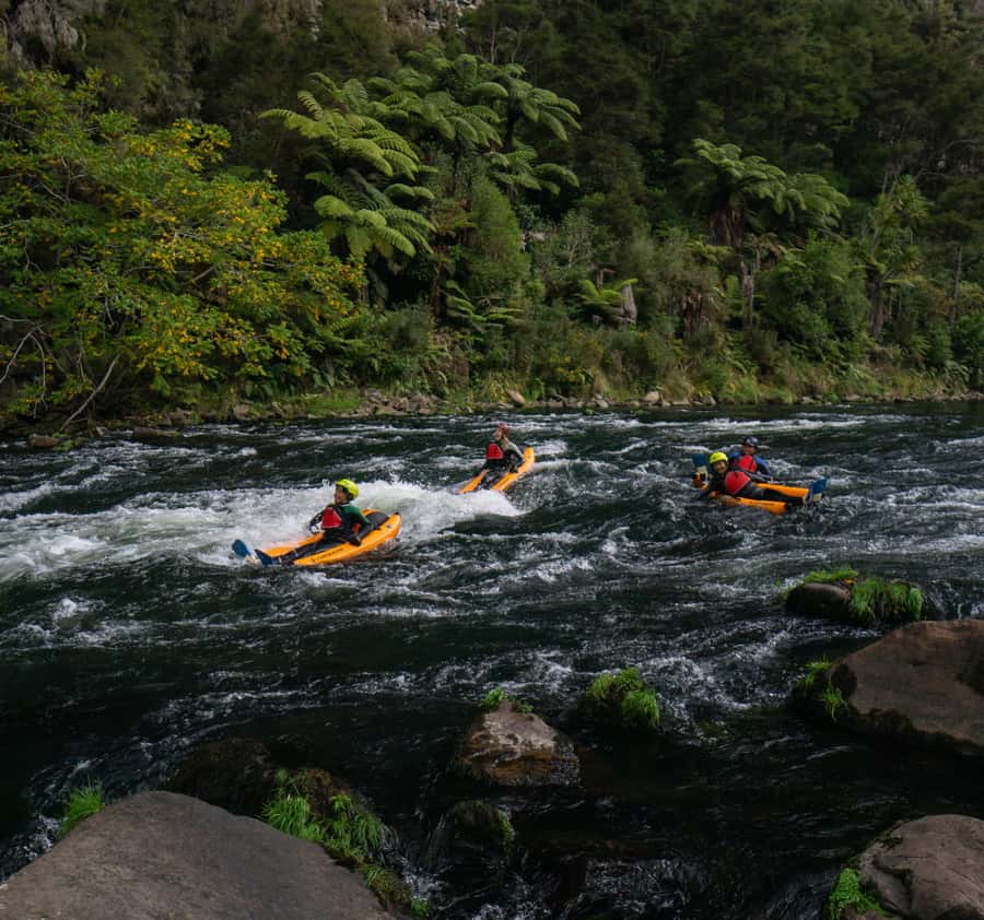Thrilling Riverbug Adventure on the Rangitāiki River - Finding the Tour: The Black Riverbug Van and Campground Meeting Point