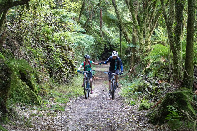 Timber Trail - Ongarue to Pureora Shuttle 2 Day Ride - Arriving at Ongarue: the secure depot and 8:30am start