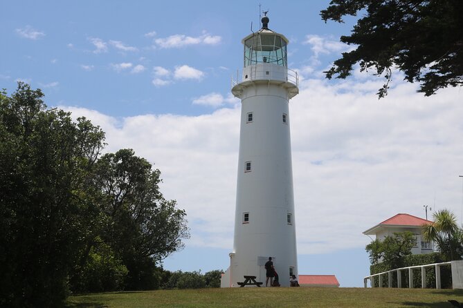 Tiritiri Matangi Island Discovery - from Auckland - Hobbs Beach for a Short Coast Walk and Picnic Time
