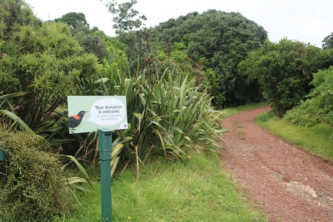 Tiritiri Matangi Island Discovery - from Auckland - Birds You Can Actually See, Plus the Volunteer Factor