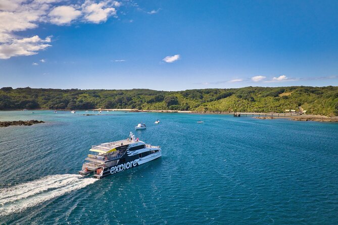 Tiritiri Matangi Island Discovery - from Auckland - Cruise Time, Wind, and What to Pack