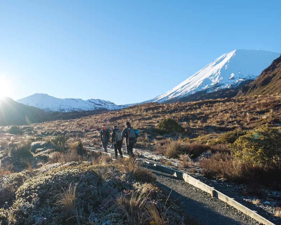 Tongariro Alpine Crossing: Premium Guided Hike - The core walk: between Mt Ngauruhoe and Mt Tongariro