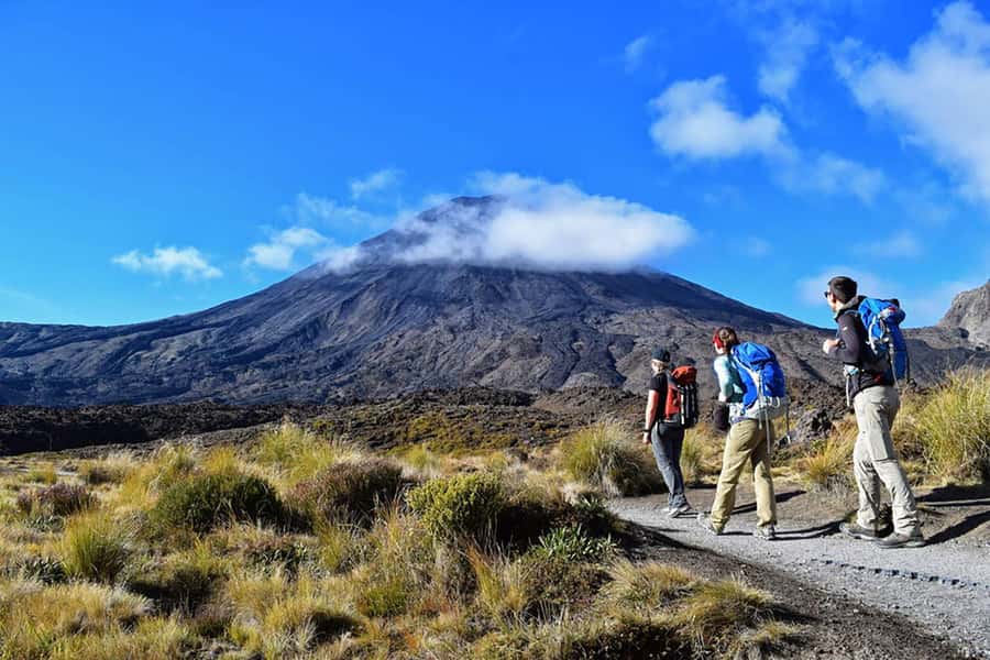 Tongariro Alpine Half Day Guided Group Walk - Key things I’d circle on this Tongariro half-day walk