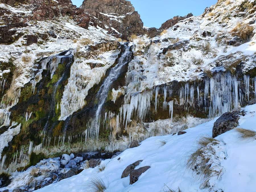 Tongariro Alpine Half Day Guided Group Walk - Soda Springs: spring water refill and a pause that feels earned