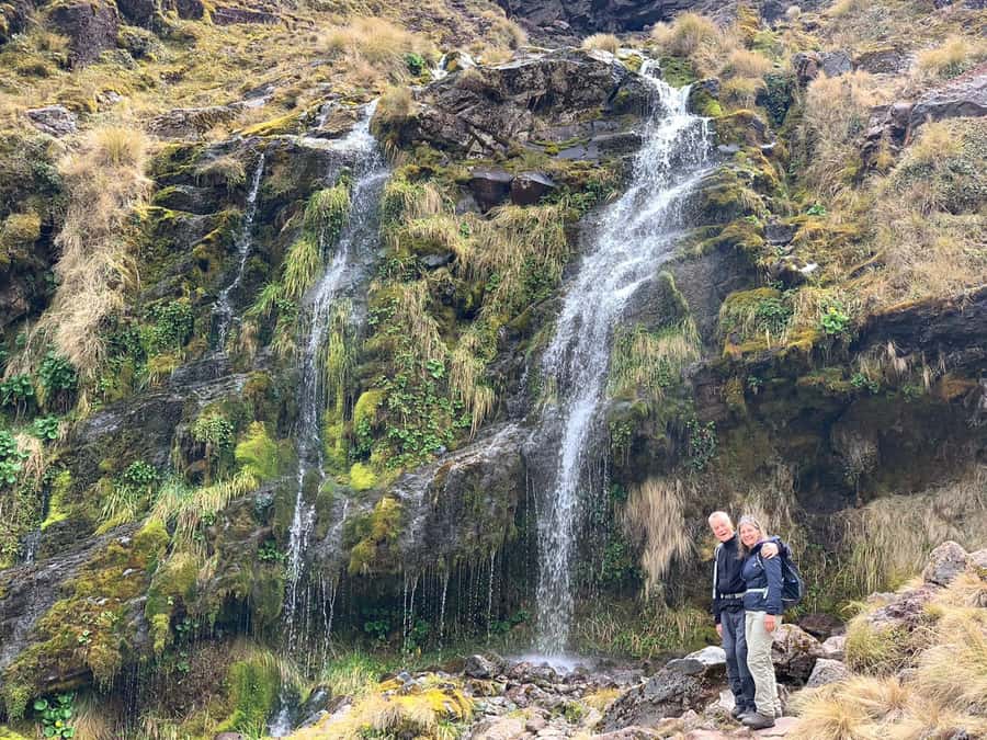 Tongariro Alpine Half Day Guided Group Walk - Mt Ngauruhoe at close range: plants, water, and volcanic clues