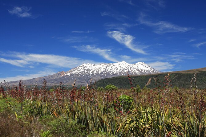 Tongariro Discovery Walk - Tama Lakes or Lake Rotopounamu, chosen by your group fitness