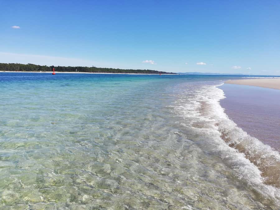 Tour of the Bay, Te Puna Sculpture Park and Historic Village - Te Puna Quarry Sculpture Park and Gardens: Quirky Art, Real Wildlife, and a Choose-Your-Route Walk