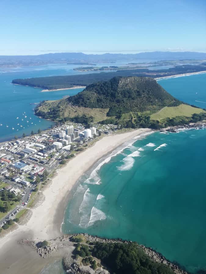 Tour of the Bay, Te Puna Sculpture Park and Historic Village - How the 210 Minutes Really Work: A Pace Built for Cruise Timing