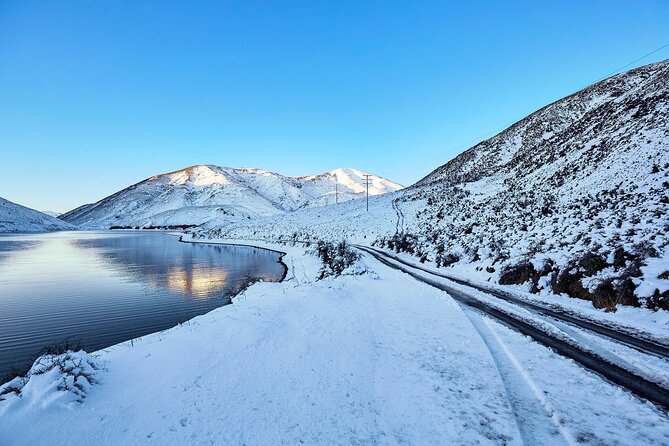 TranzAlpine Train, Arthur's Pass and Castle Hill Day Trip - Price and logistics: a full day without the headache
