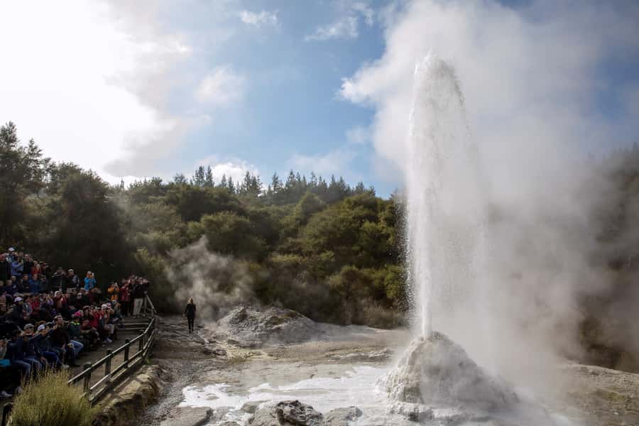 TRIPLE DEAL Wai-O-Tapu, Redwood & Blue Springs from Auckland - Lady Knox Geyser at 10:15 AM: why timing is the whole point