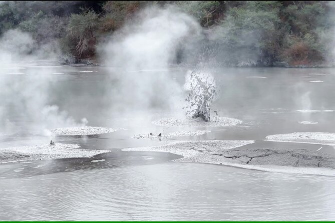 TRIPLE DEAL Wai-O-Tapu, Redwood Forest & Blue Springs Ex Auckland - Tirau’s Dog and Sheep buildings: the quick quirky hit