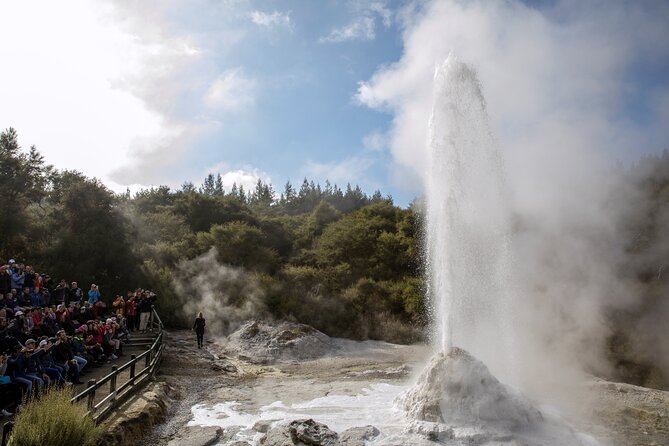 TRIPLE DEAL Wai-O-Tapu, Redwood Forest & Blue Springs Ex Auckland - The ride, the guide style, and how to get along with the schedule
