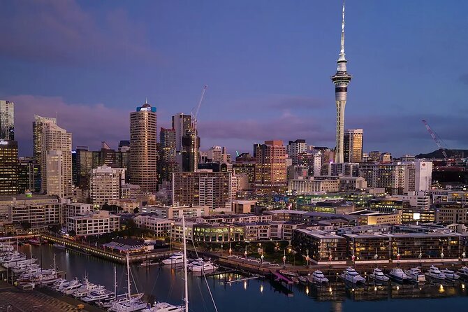 Try find your better than us ! Airport transfer service Auckland HTL-APT (AKL) - Who This Transfer Suits Best