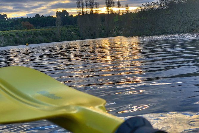 Twilight Glowworm Kayak Tour – Lake Karapiro - Why kayaking glowworms beats watching them from the bank