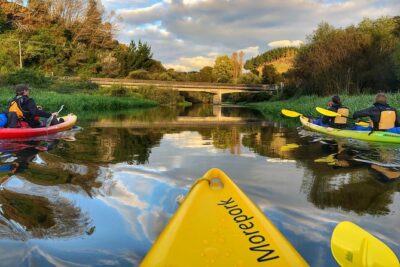 Twilight Glowworm Kayak Tour – Lake Karapiro