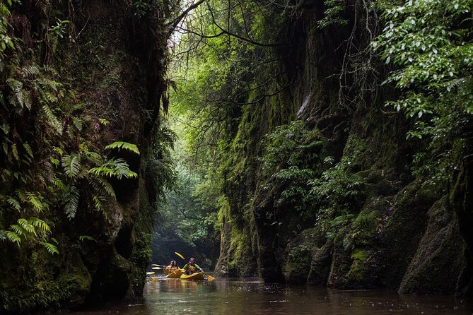 Twilight Glowworm Kayak Tour – Lake Karapiro - Stars, Milky Way, and the guide talk you might actually remember