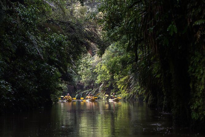Twilight Glowworm Kayak Tour – Lake Karapiro - Paddling basics and fitness: who this is really for
