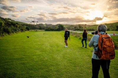 Twilight Wild Kiwi Bird Encounter Private Tour