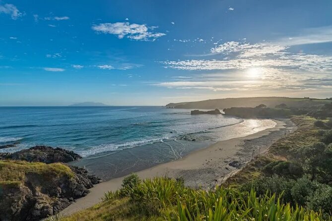 Twilight Wild Kiwi Bird Encounter Private Tour - Price and Value: Is $589.54 Worth It?