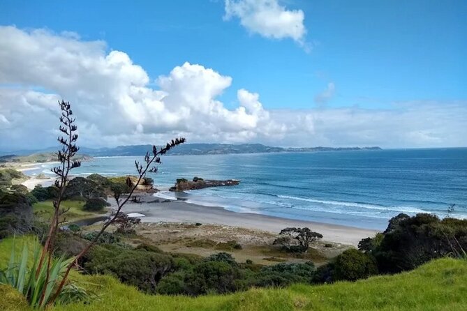Twilight Wild Kiwi Bird Encounter Private Tour - The Quick Practical Checklist
