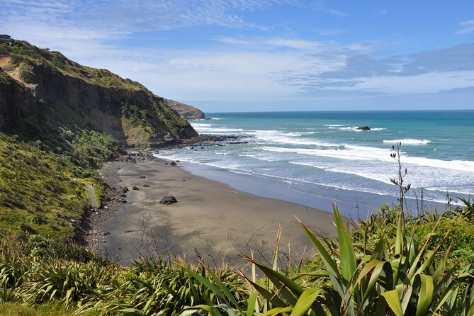 Ultimate Auckland Experience Full Day Tour with Brewery Lunch - Achilles Point and Auckland Domain: quick hits that teach you the city