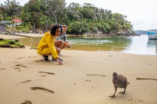 Ulva Island Explorer from Stewart Island - Stewart Island to Paterson Inlet: the cruise you will actually remember