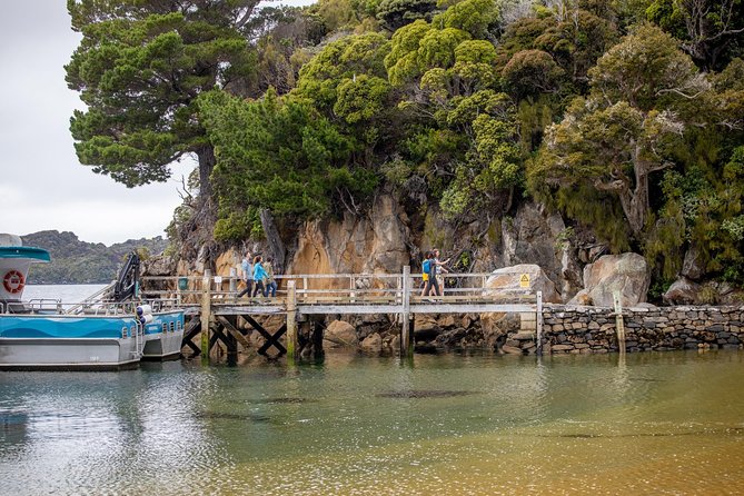 Ulva Island Explorer from Stewart Island - Wildlife spotting without the guessing game