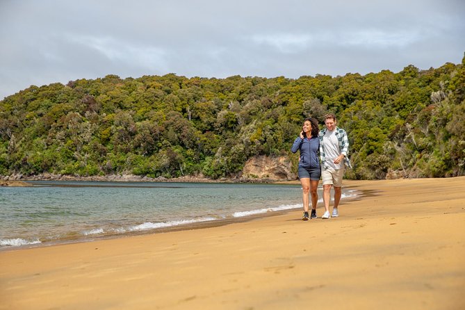Ulva Island Explorer from Stewart Island - Birds and plants: what to expect to see on the island