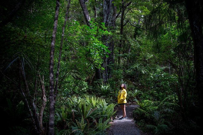 Ulva Island Explorer from Stewart Island - Weather matters, and how to plan your day on Rakiura