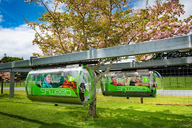 Velocity Valley Rotorua - Instructors, staff, and how the day stays smooth
