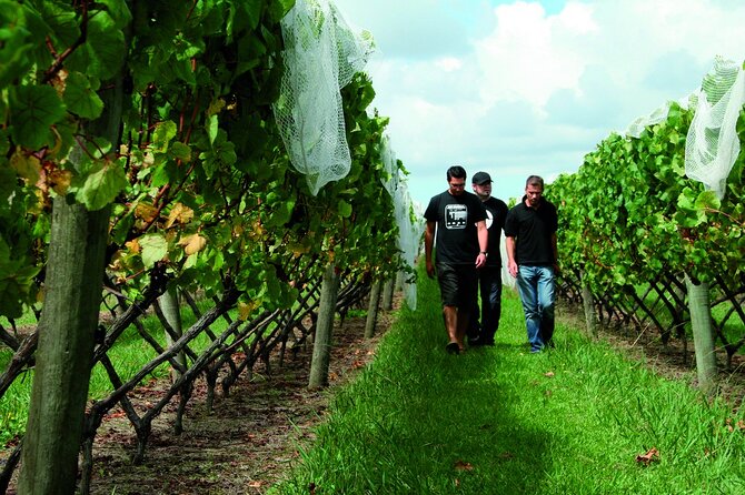 Vineyards Honey and Black Sand Beaches from Auckland - Soljans Estate Winery lunch: port lovers and Methode Traditionnelle fans