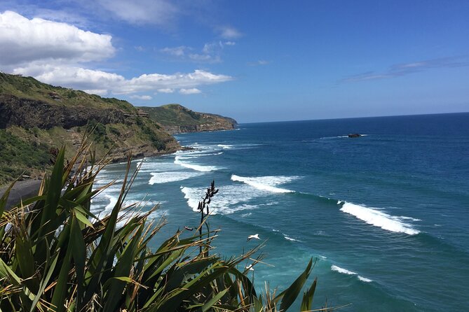 Vineyards Honey and Black Sand Beaches from Auckland - The $183.07 value: what you are actually paying for