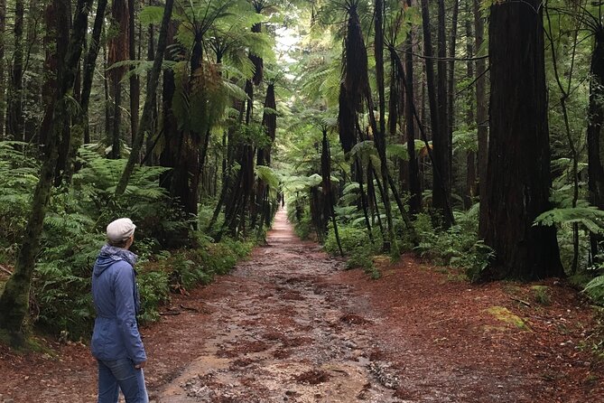 Volcanic Rotorua Day Trip from Auckland - Lake Rotorua and Government Gardens viewpoints