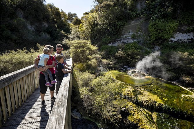Volcanic Valley Self Guided Walking and Hiking at Waimangu - Forest and Grasslands: steam, birds, and plant life you can notice